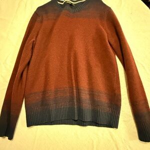 Banana Republic V-Neck Sweater in Brown and Black